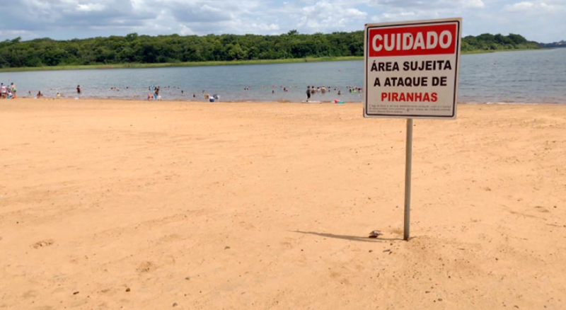 Corpo de Bombeiros alerta para risco de ataques de piranhas nas praias de águas doces do Oeste - 17/01/2022 Foto: SESP-PARANÁ